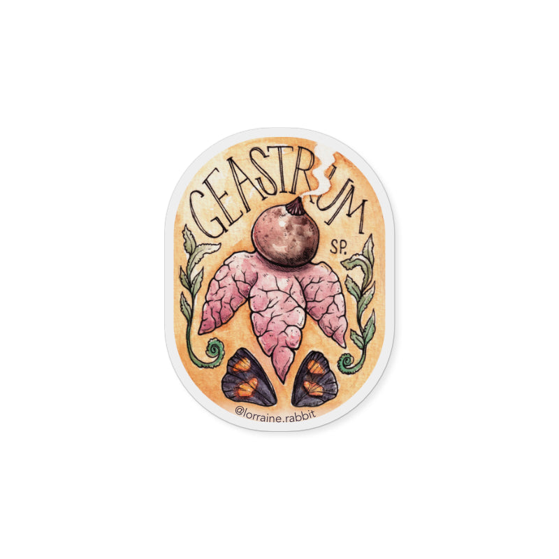 Geastrum sp - sticker