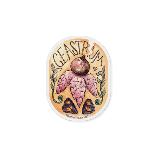 Geastrum sp - sticker