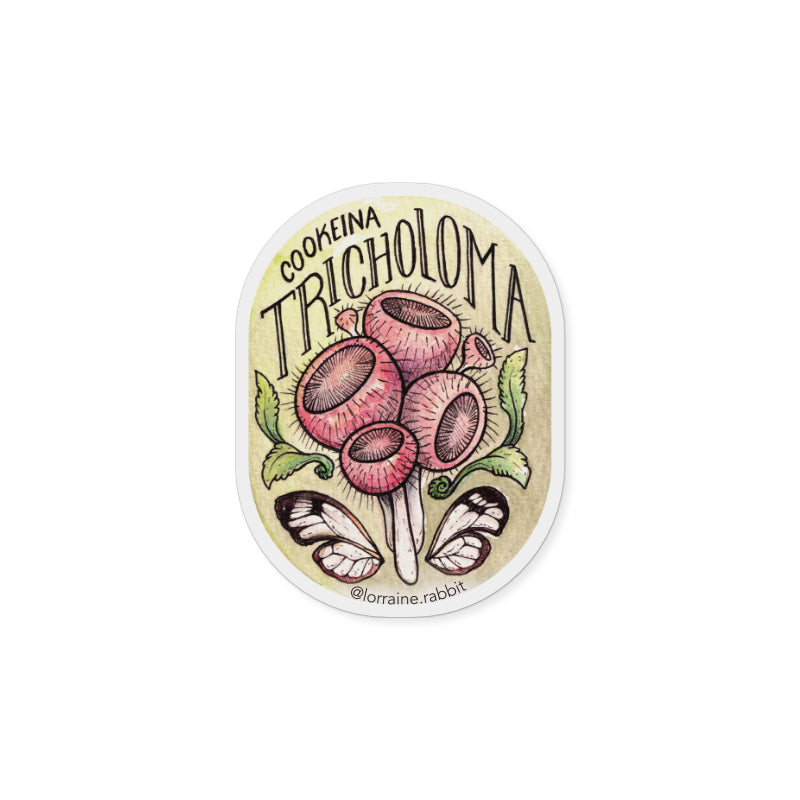 Cookeina tricholoma - sticker