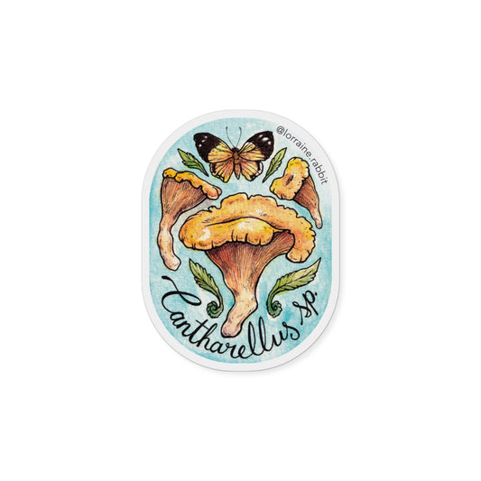 Cantharellus sp - sticker