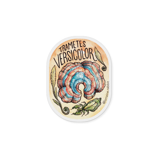 Trametes versicolor - sticker
