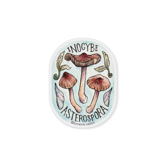 Inocybe asterospora - sticker