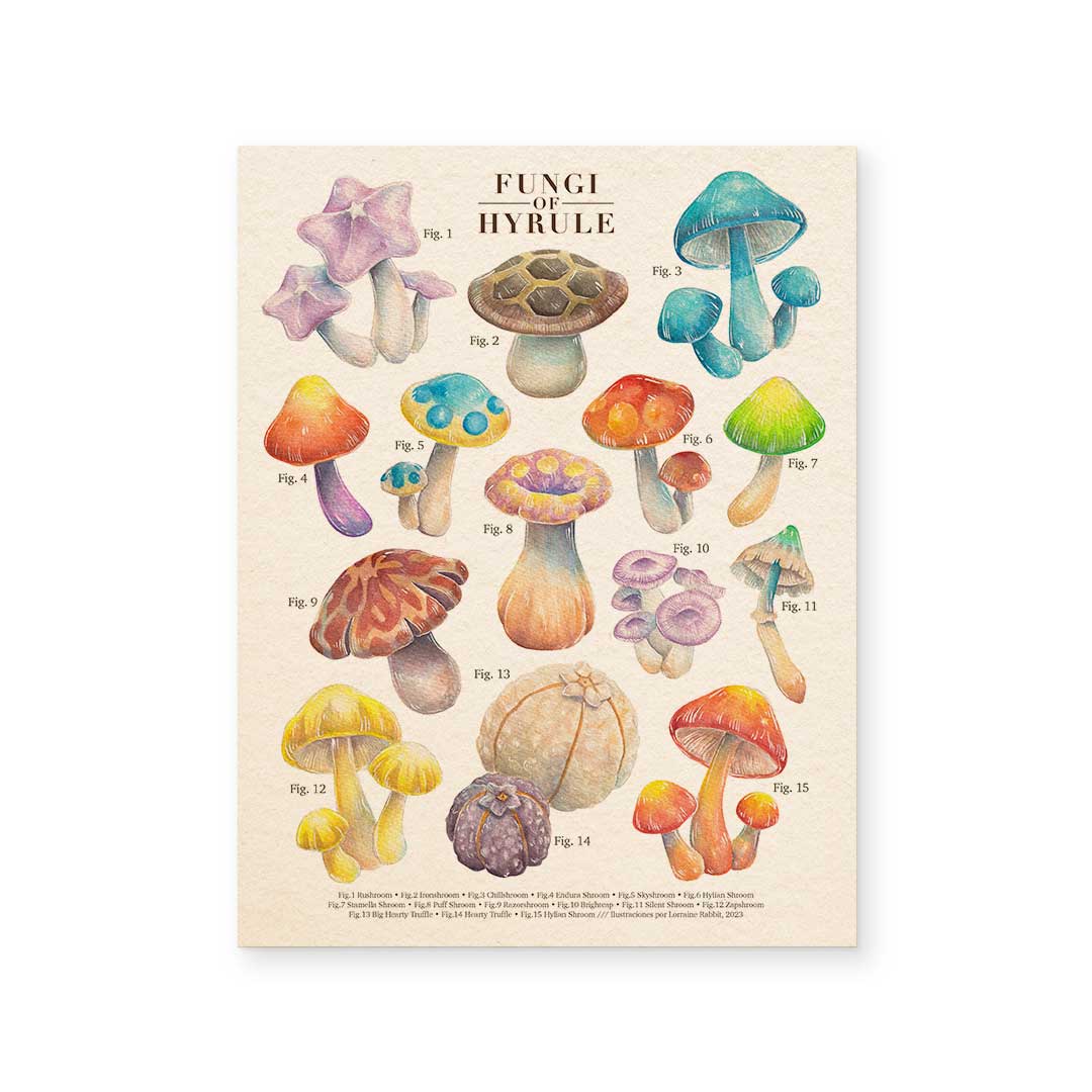 Fungi of Hyrule - print defectuoso