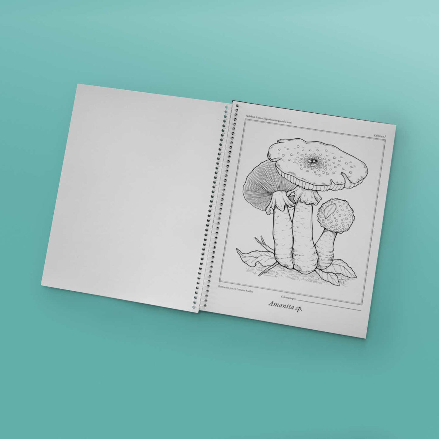 Fungario - Libro de colorear