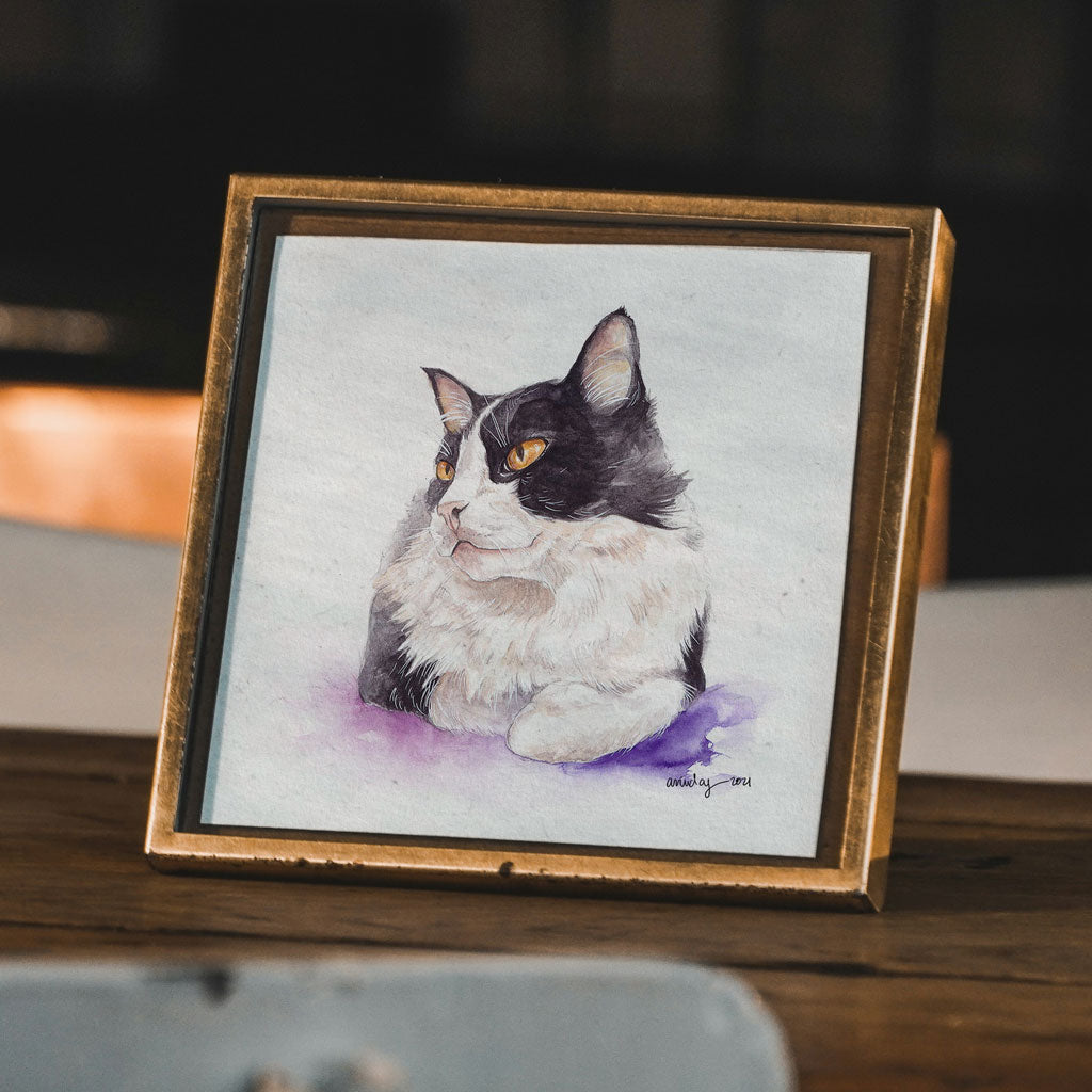 pet portrait