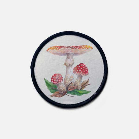 Amanita muscaria - parche