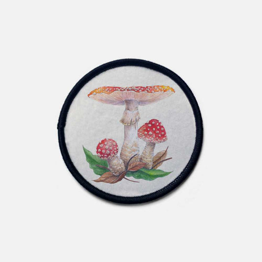 Amanita muscaria - parche