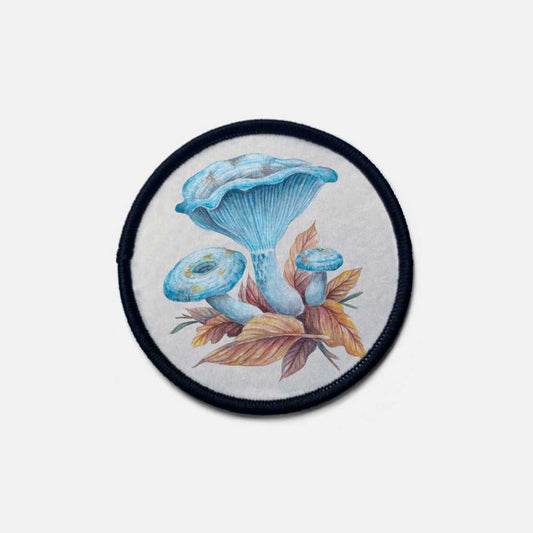 Lactarius indigo - parche