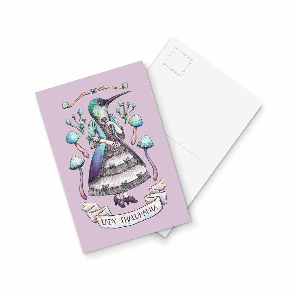 Lady Thalurania - postcard