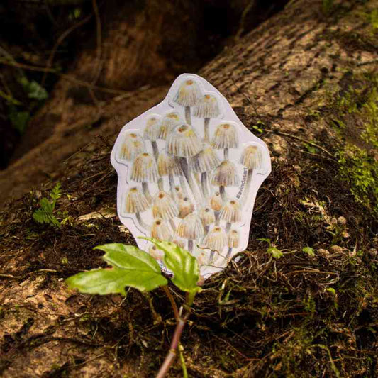 Sombrillitas - sticker