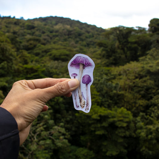 Hongo morado - sticker