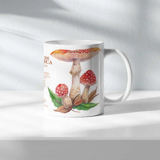 Hongos de Costa Rica (Amanita muscaria) - Taza