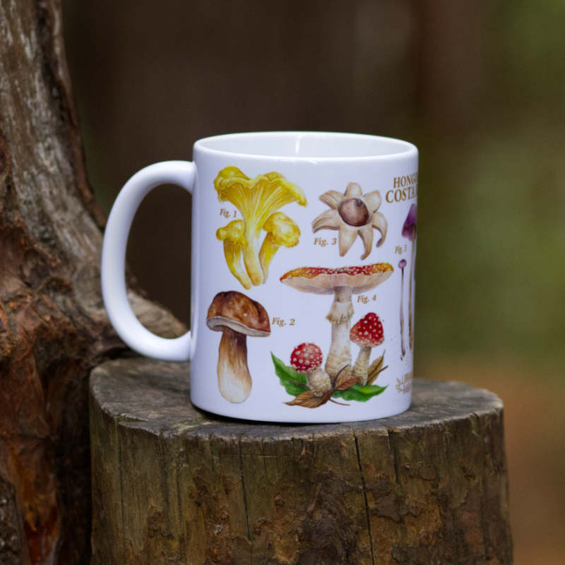 Mushrooms of Costa Rica - Mug