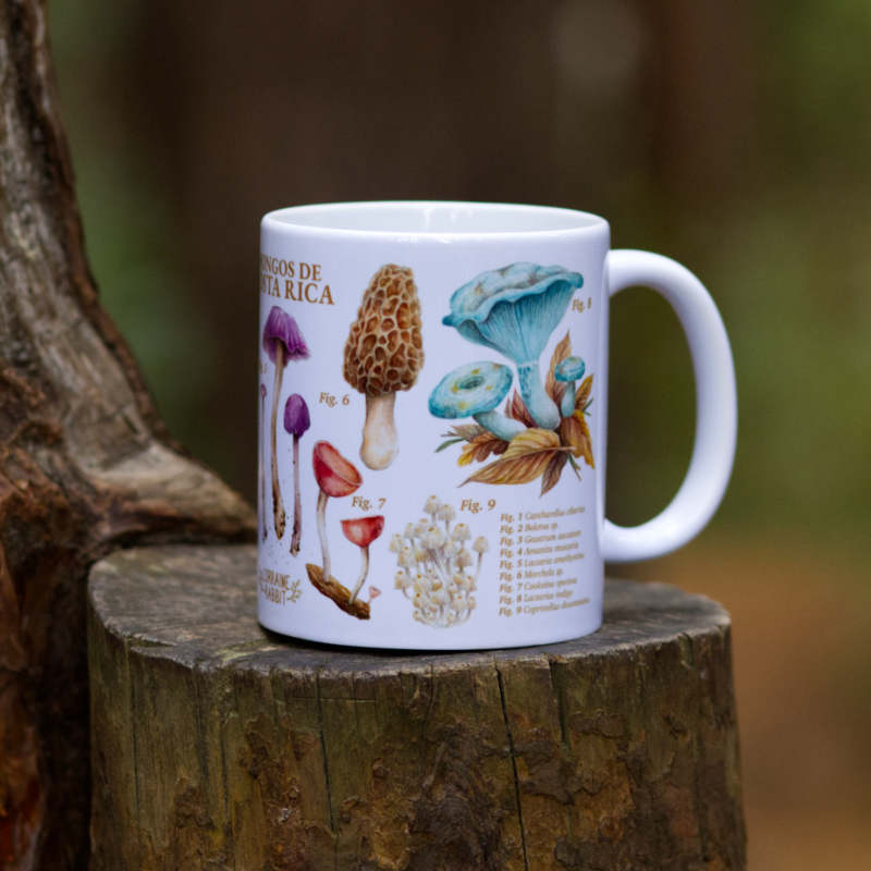 Mushrooms of Costa Rica - Mug