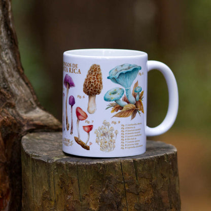 Mushrooms of Costa Rica - Mug