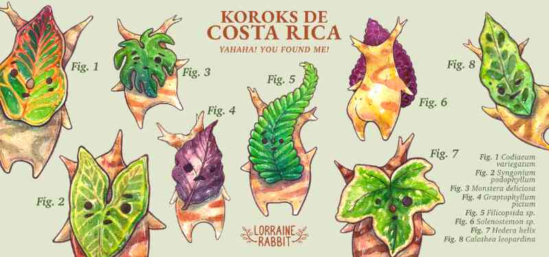 Koroks de CR - Taza