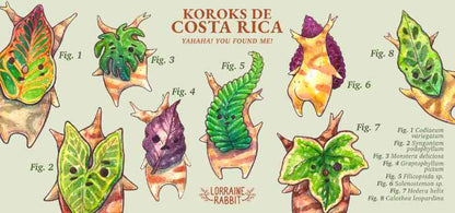 Koroks de CR - Taza